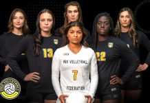 Pro Volleyball Federation Schedule And Draft Picks